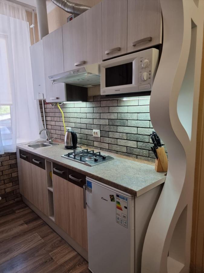 Petropavlivska Apartment Тиха Вуличка В Центрі Старого Міста Kamenec Podolský Exteriér fotografie