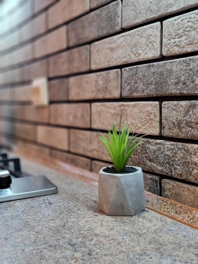 Petropavlivska Apartment Тиха Вуличка В Центрі Старого Міста Kamenec Podolský Exteriér fotografie